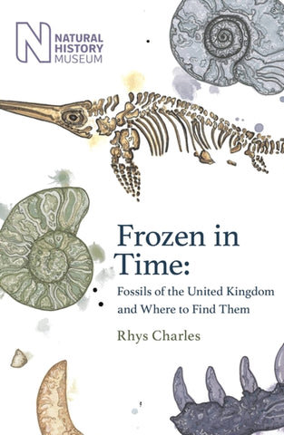 Frozen in Time: Fossils of the united kingdom and where to find them