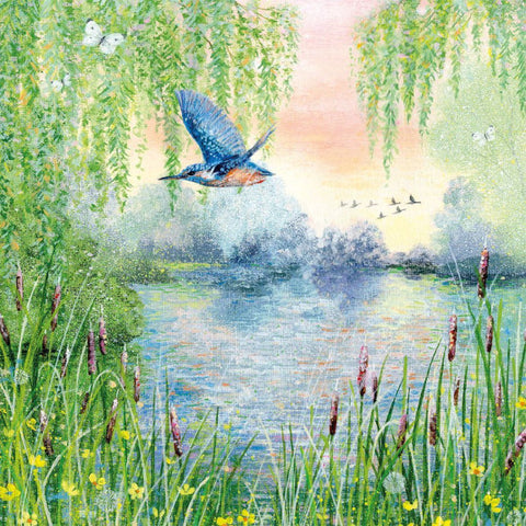 Kingfisher Greetings Card