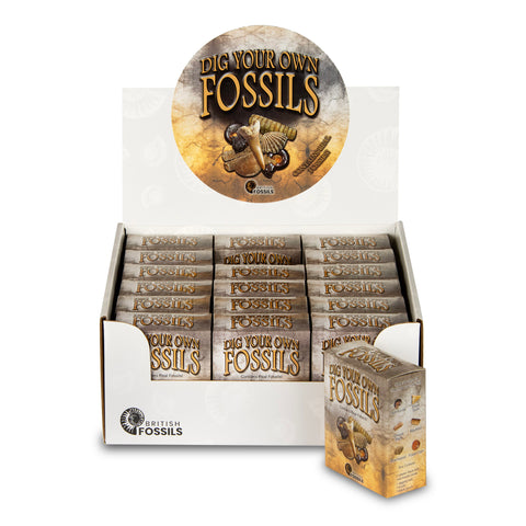 Dig Your Own Fossils