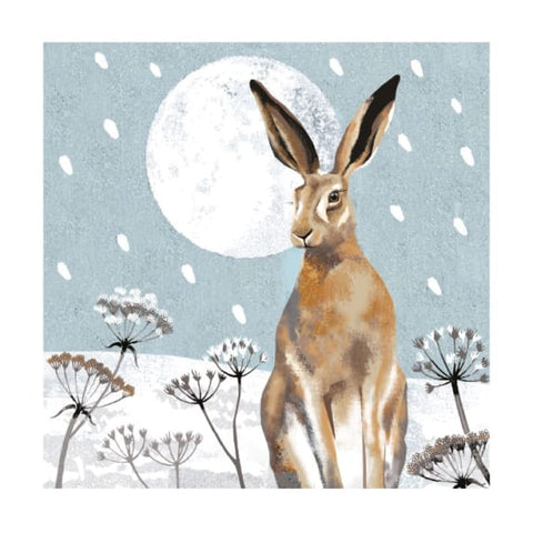 Hare and Moon