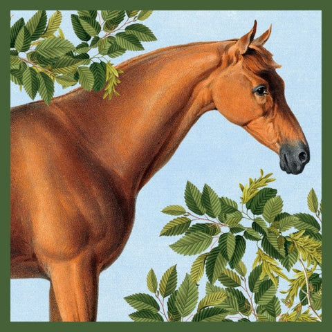 Irish Sport Horse Greetings Card