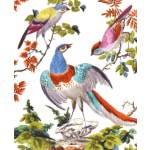 Birds from Chelsea Porcelain Greetings Card