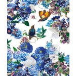 Bluebirds Greetings Card