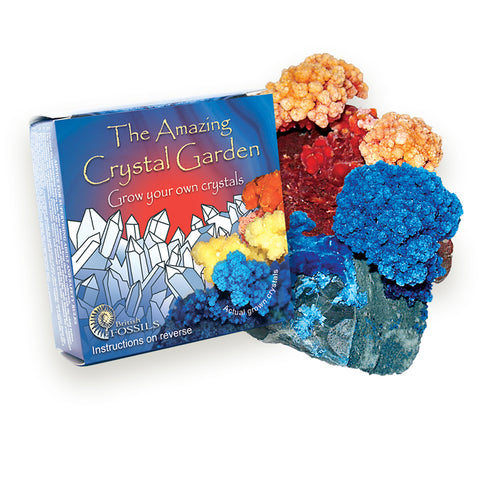 The Amazing Crystal Garden