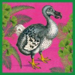Dodo Greetings Card