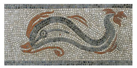Dolphin Mosaic 12 x Wooden Colouring Pencils