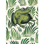 Frog Card