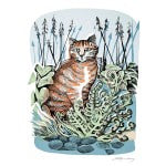 Ginger Cat and Fern Greetings Card