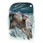 Shooting Stars Greetings Card