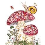 Snail and Toadstools Greetings Card
