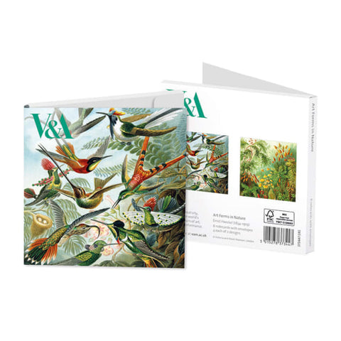 Art Forms in Nature Notecards