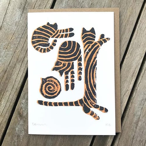 Darwin Cat Card