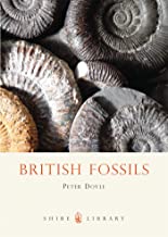 British Fossils - Shire